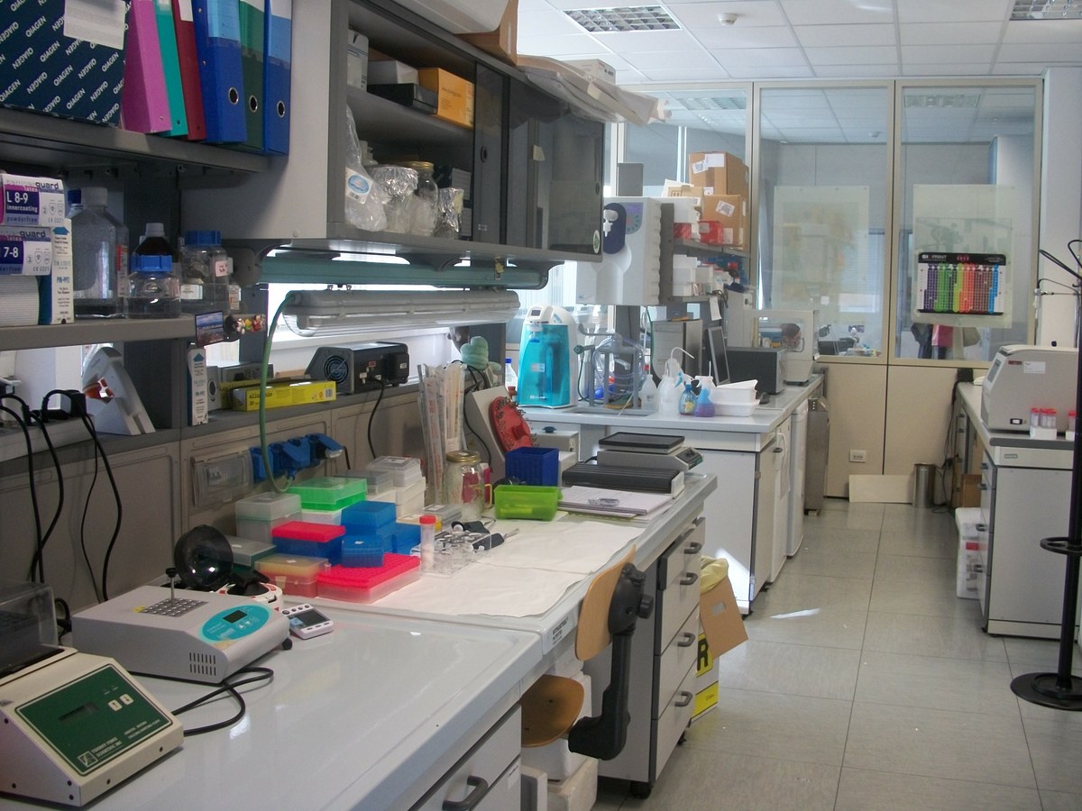 laboratorio di ingegneria cellulare e molecolare